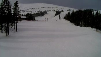 Драгобрат 1 березня 2020 року, 2020-03-01 10:00