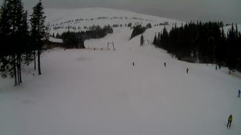 Драгобрат 1 березня 2020 року, 2020-03-01 13:00