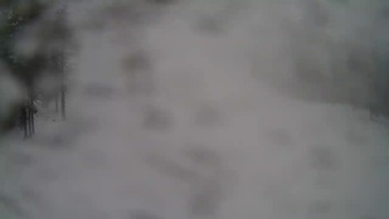 Драгобрат 2 березня 2020 року, 2020-03-02 13:00