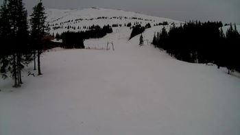 Драгобрат 4 березня 2020 року, 2020-03-04 13:00