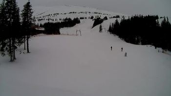 Драгобрат 7 березня 2020 року, 2020-03-07 10:00