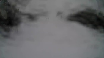 Драгобрат 11 березня 2020 року, 2020-03-11 16:00