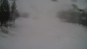 Драгобрат 12 березня 2020 року, 2020-03-12 10:00