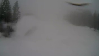 Драгобрат 12 березня 2020 року, 2020-03-12 13:00