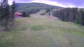 Драгобрат 25 липня 2020 року, 2020-07-25 13:00