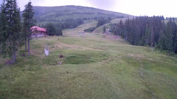 Драгобрат 10 серпня 2020 року, 2020-08-10 13:00
