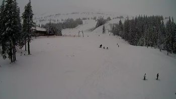 Драгобрат 14 січня 2021 року, 2021-01-14 16:00