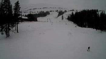 Драгобрат 22 січня 2021 року, 2021-01-22 16:00