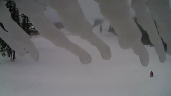 Драгобрат 9 лютого 2021 року, 2021-02-09 10:00