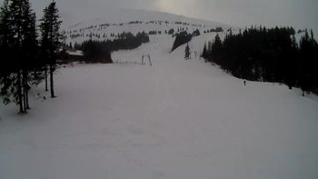 Драгобрат 8 березня 2021 року, 2021-03-08 16:00