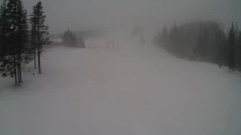 Драгобрат 12 березня 2021 року, 2021-03-12 10:00
