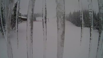 Драгобрат 7 грудня 2021 року, 2021-12-07 13:00