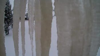 Драгобрат 18 грудня 2021 року, 2021-12-18 10:00