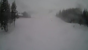 Драгобрат 17 січня 2022 року, 2022-01-17 10:00