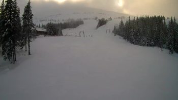 Драгобрат 29 січня 2022 року, 2022-01-29 16:00