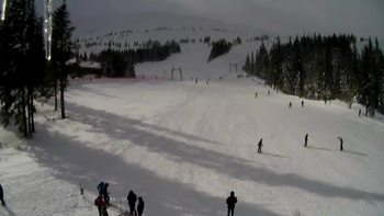 Драгобрат 9 лютого 2022 року, 2022-02-09 13:00
