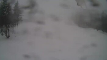 Драгобрат 19 лютого 2023 року, 2023-02-19 13:00