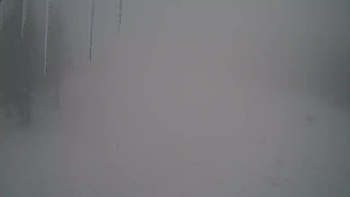 Драгобрат 7 січня 2024 року, 2024-01-07 13:00