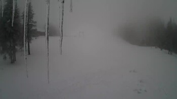 Драгобрат 7 січня 2024 року, 2024-01-07 16:00