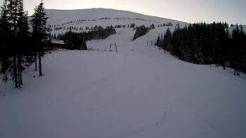 Драгобрат 29 січня 2024 року, 2024-01-29 16:00
