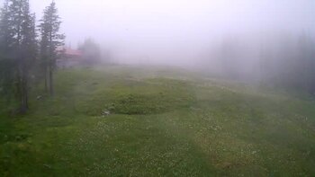 Драгобрат 20 червня 2024 року, 2024-06-20 13:00