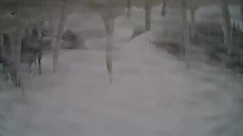 Драгобрат 15 грудня 2024 року, 2024-12-15 10:00