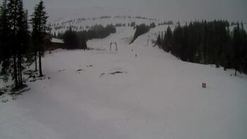 Драгобрат 1 березня 2025 року, 2025-03-01 13:00