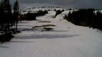 Драгобрат 11 березня 2025 року, 2025-03-11 10:00