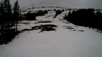 Драгобрат 13 березня 2025 року, 2025-03-13 10:00