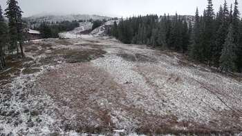 Драгобрат 25 жовтня 2025 року, 2025-10-25 13:00