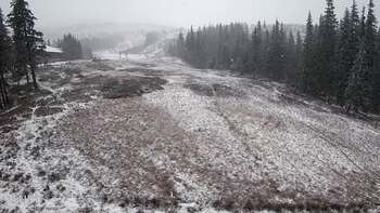 Драгобрат 25 жовтня 2025 року, 2025-10-25 16:00