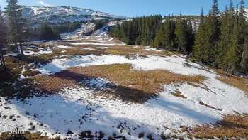 Drahobrat 31 październik 2025 rok 13:00