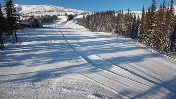 Драгобрат 17 січня 2026 року, 2026-01-17 10:00