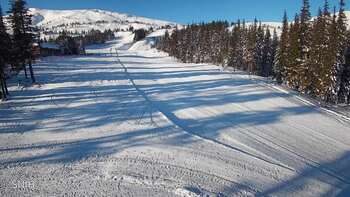 Драгобрат 18 січня 2026 року, 2026-01-18 10:00