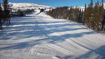 Драгобрат 19 січня 2026 року, 2026-01-19 10:00