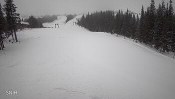 Драгобрат 24 січня 2026 року, 2026-01-24 10:00