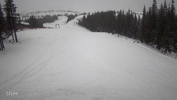 Драгобрат 24 січня 2026 року, 2026-01-24 13:00