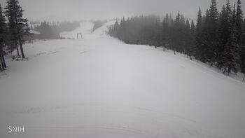 Драгобрат 29 січня 2026 року, 2026-01-29 10:00