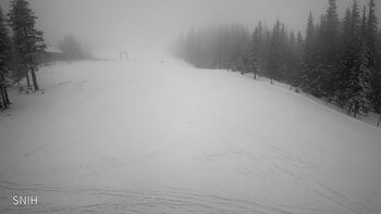 Драгобрат 29 січня 2026 року, 2026-01-29 16:00