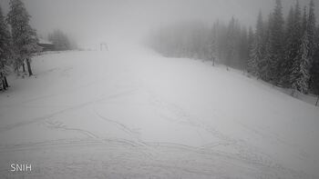 Драгобрат 31 січня 2026 року, 2026-01-31 10:00