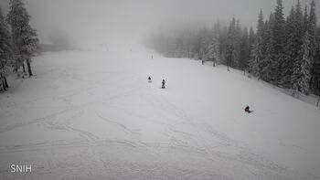 Драгобрат 31 січня 2026 року, 2026-01-31 13:00