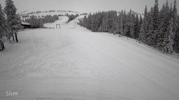 Drahobrat 3 luty 2026 rok, 2026-02-03 10:00