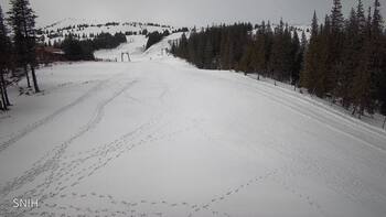 Drahobrat 13 luty 2026 rok, 2026-02-13 10:00