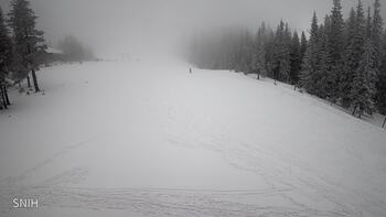 Drahobrat 20 february 2026 year, 2026-02-20 16:00