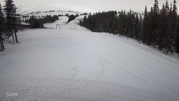 Драгобрат 22 лютого 2026 року, 2026-02-22 10:00