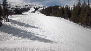 Драгобрат 8 березня 2026 року, 2026-03-08 13:00