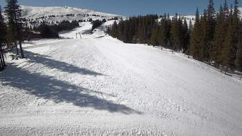 Драгобрат 10 березня 2026 року, 2026-03-10 13:00