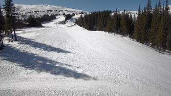 Драгобрат 11 березня 2026 року, 2026-03-11 13:00