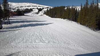 Драгобрат 15 березня 2026 року, 2026-03-15 10:00