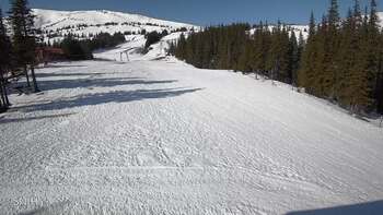 Драгобрат 16 березня 2026 року, 2026-03-16 10:00